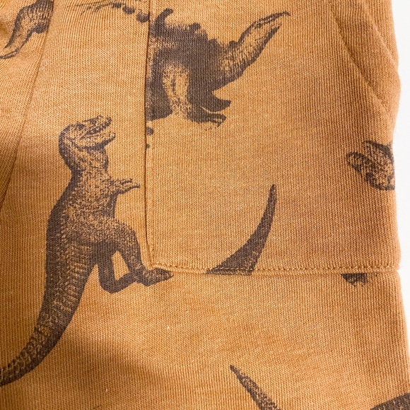 Toddlers 4T Shorts- mix brand - Picture 5 of 6